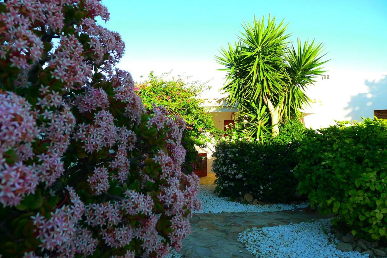 Finca Du Ressourcement Higueron Apartment Vejer de la Frontera Bagian luar foto