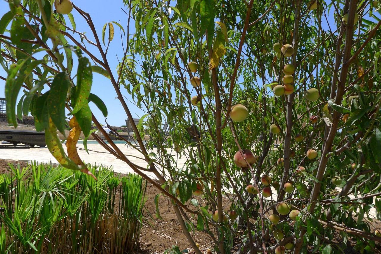 Finca Du Ressourcement Higueron Apartment Vejer de la Frontera Bagian luar foto